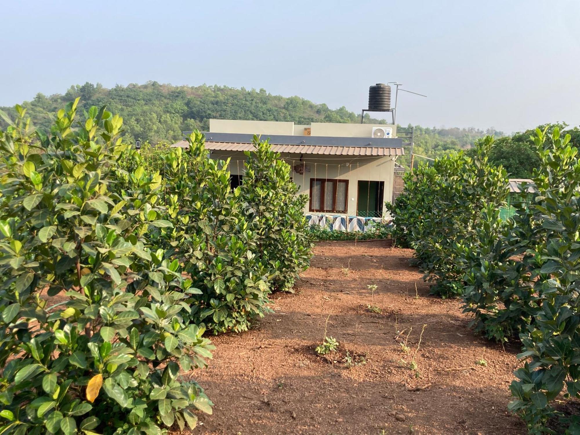 Mo'S Agro Villa Pappinisseri Exterior photo
